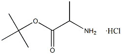 Tert-Butyl L-Alaninate Hydrochloride CAS. 13404-22-3 Biały do niebiałego proszku czystość 98% Punkt stopienia 168-175 °C