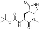Metyl (S)-2- ((boc-amino)-3-[(S)-2-okso-3-pirrolidinyl]propanoan 328086-60-8