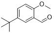 5-tert-butyl-2-OMebenzaldehyd